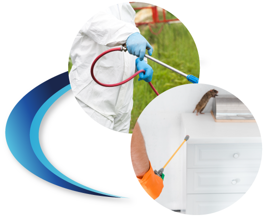 安全で安心な環境づくり 名古屋の害虫駆除ならクラスワン